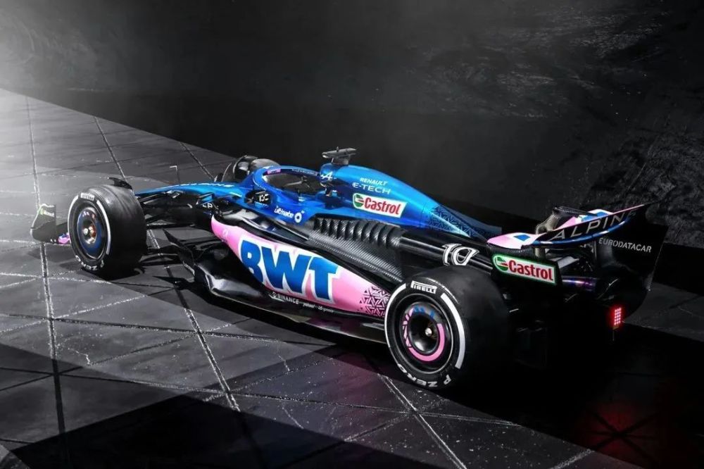 令人震惊的骑鲨鱼比赛   令人震惊的骑鲨鱼比赛