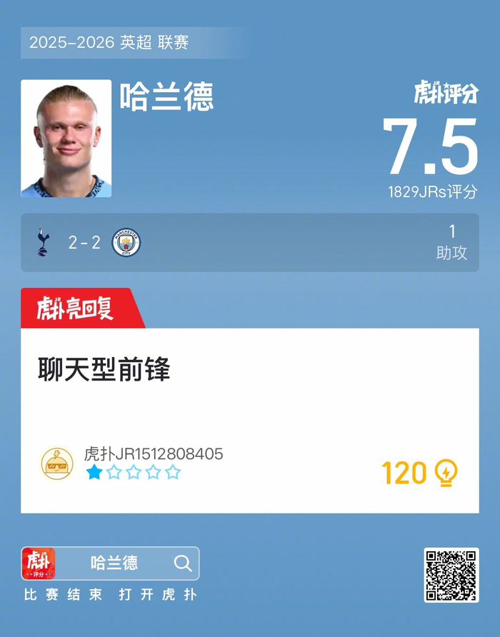 哈兰德球队 哈兰德球队